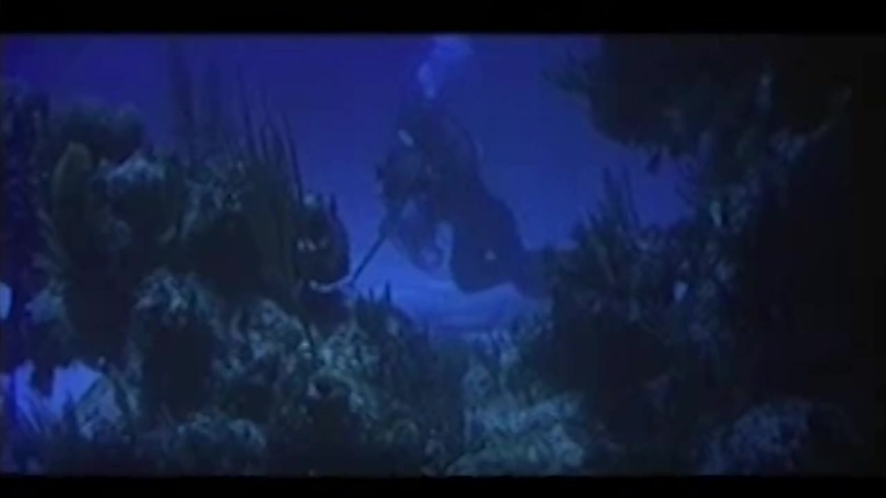 Thumbnail image for Beneath 12 Mile Reef