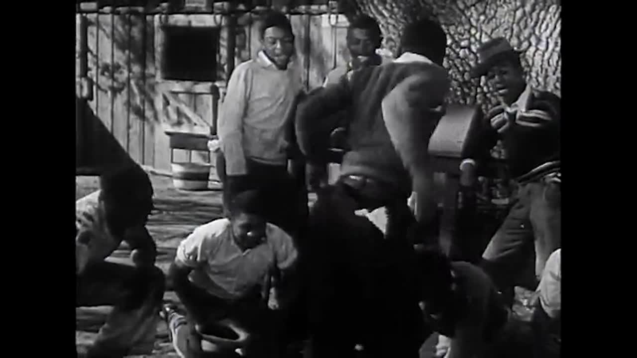 Thumbnail image for Kentucky Blue Streak